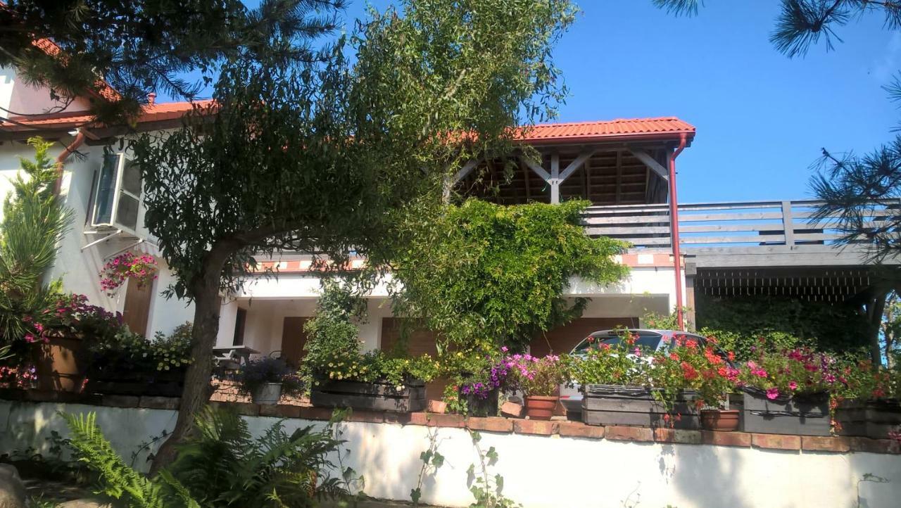 Kamien Baltyku Διαμέρισμα Debina  Εξωτερικό φωτογραφία