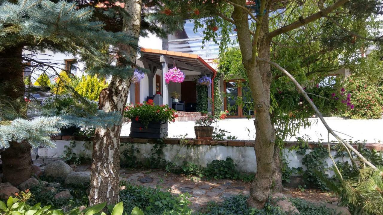 Kamien Baltyku Διαμέρισμα Debina  Εξωτερικό φωτογραφία