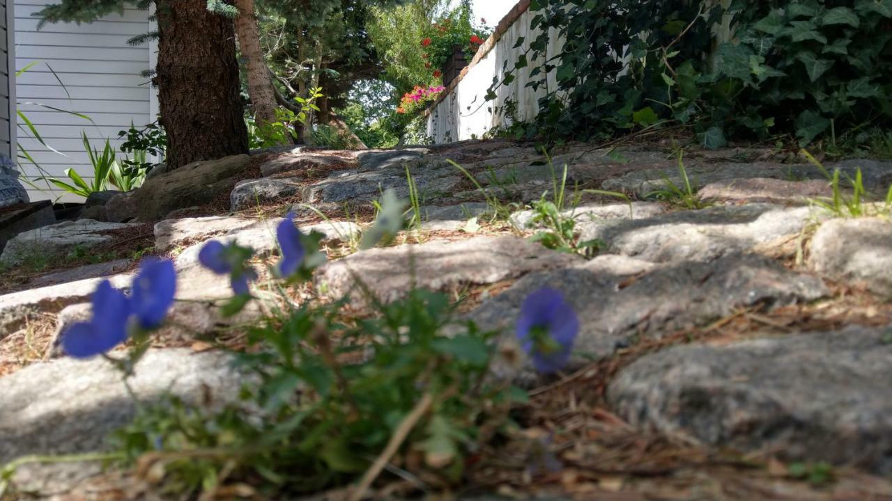 Kamien Baltyku Διαμέρισμα Debina  Εξωτερικό φωτογραφία